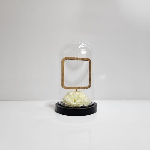 DOME