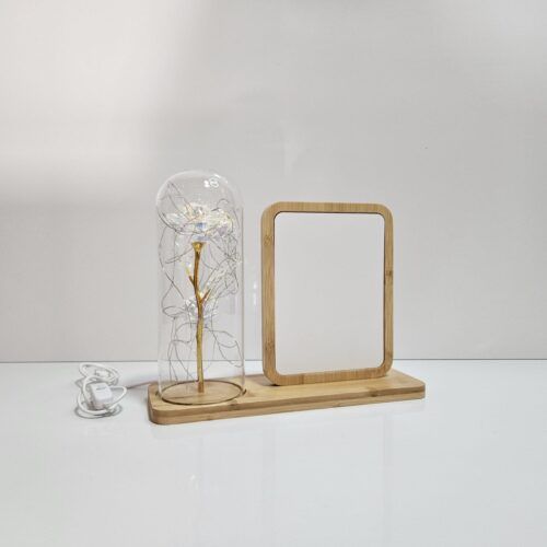 Bomboo. Light frame me kupole. KATRORE