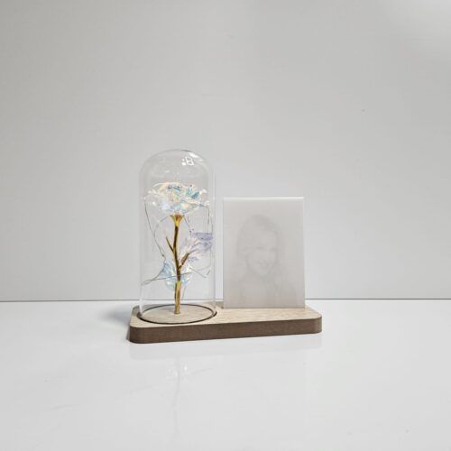 MDF Light Frame me kupole
